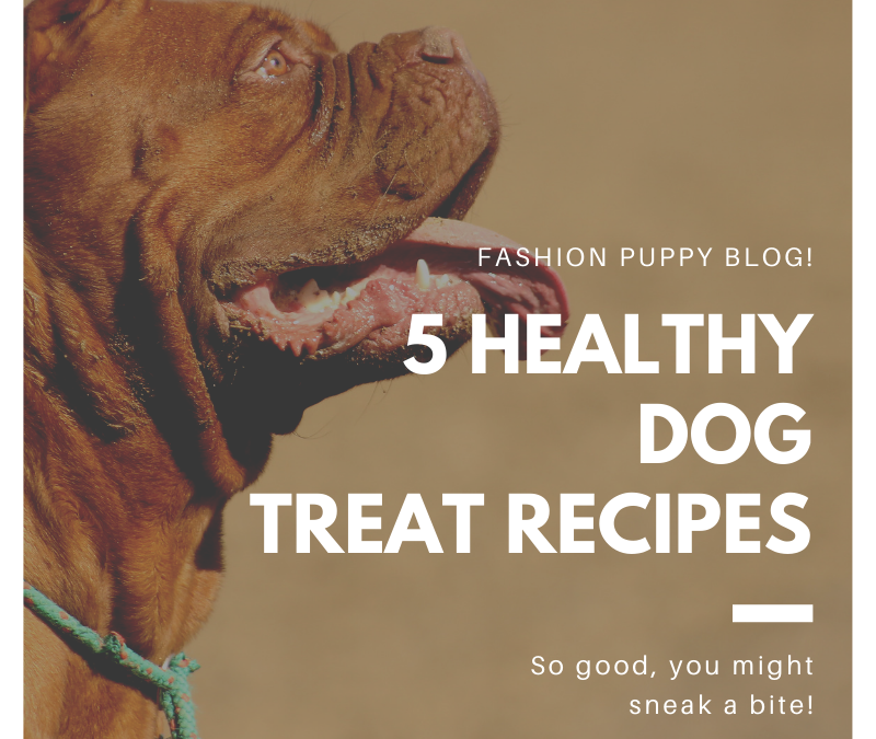 5 Healthy Homemade Dog Treats