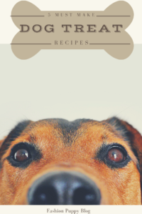 5 healthy dog treat recipes