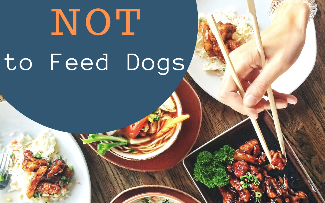 What NOT to Feed Dogs